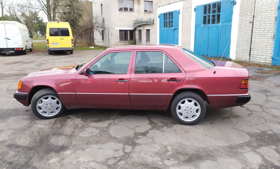 Ромашки R16 8J ET36 и фото на память — Mercedes-Benz E-Class (W124), 3 ...