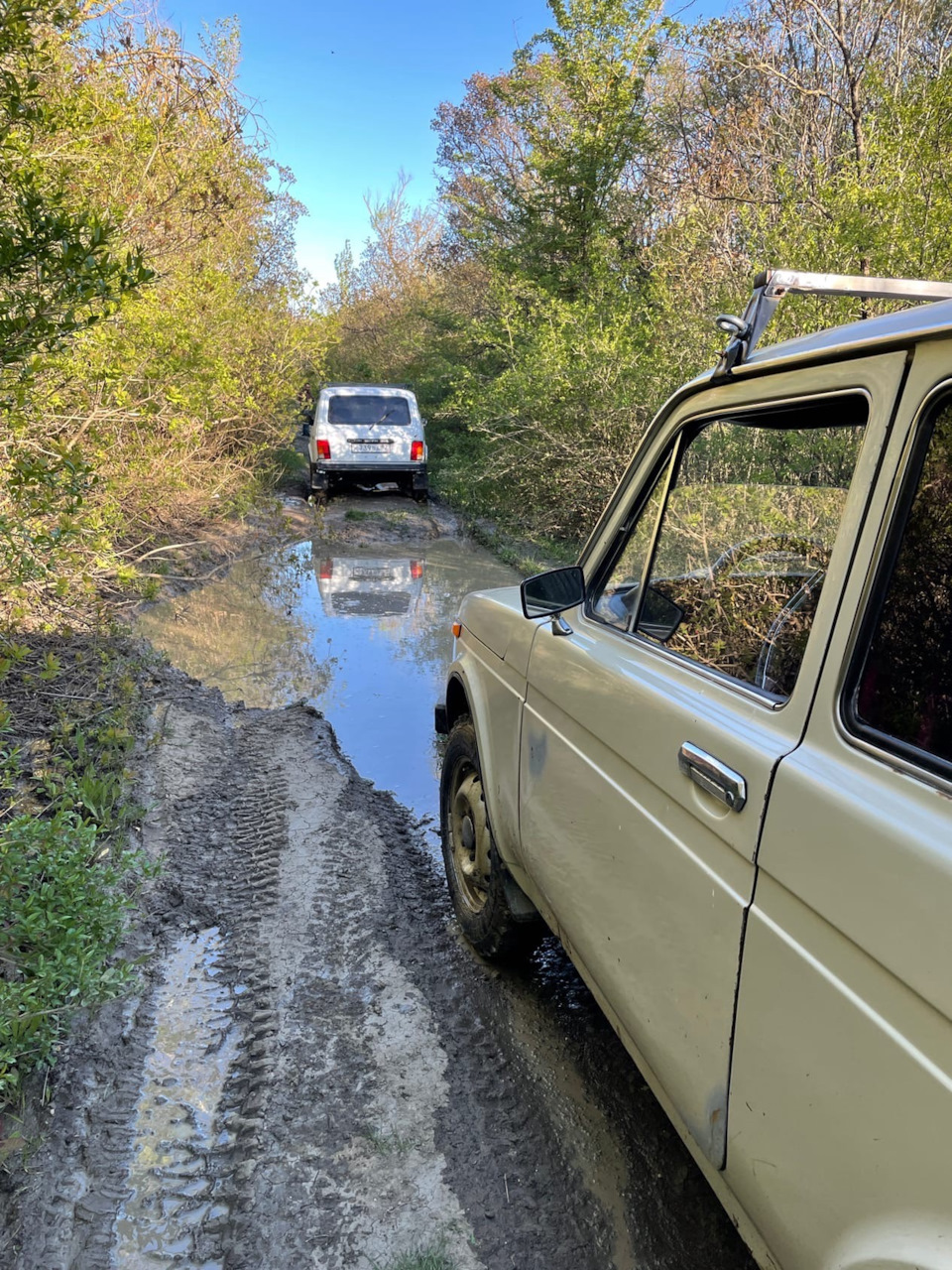 Первые потери от выезда в лес, кстати, ВЛИ-5 не так уж и плоха — Lada 4x4  3D, 1,6 л, 1981 года | покатушки | DRIVE2