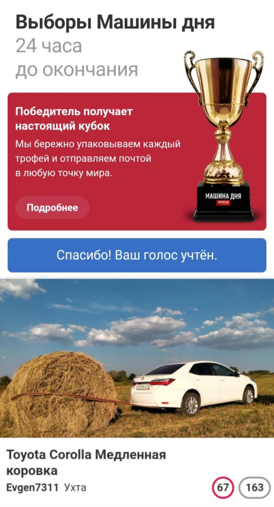 Попал на выборы — Toyota Corolla (160), 1,3 л, 2014 года | другое | DRIVE2