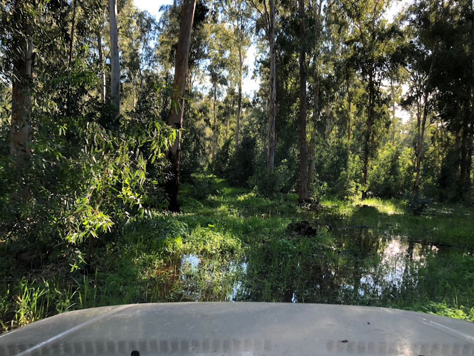 Фото в бортжурнале Suzuki Jimny (1G)