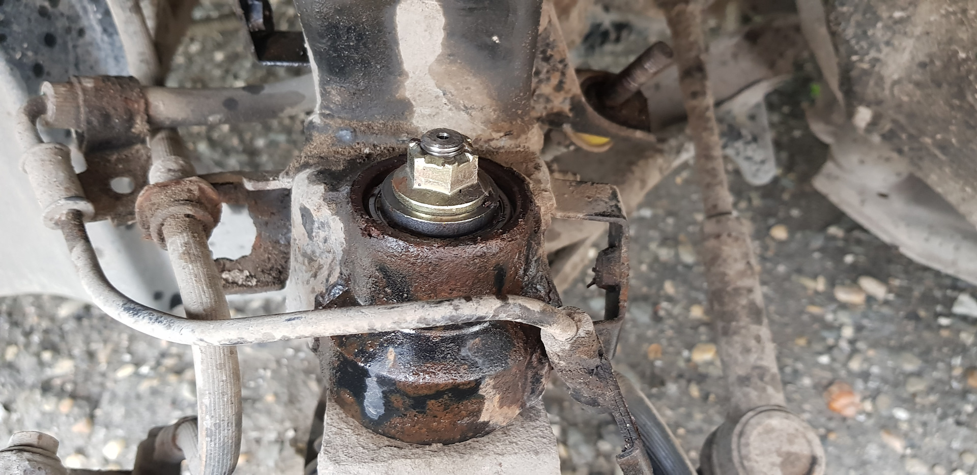 Замена подшипников поворотного кулака — Nissan Primera (P11-144), 1,8 л ...