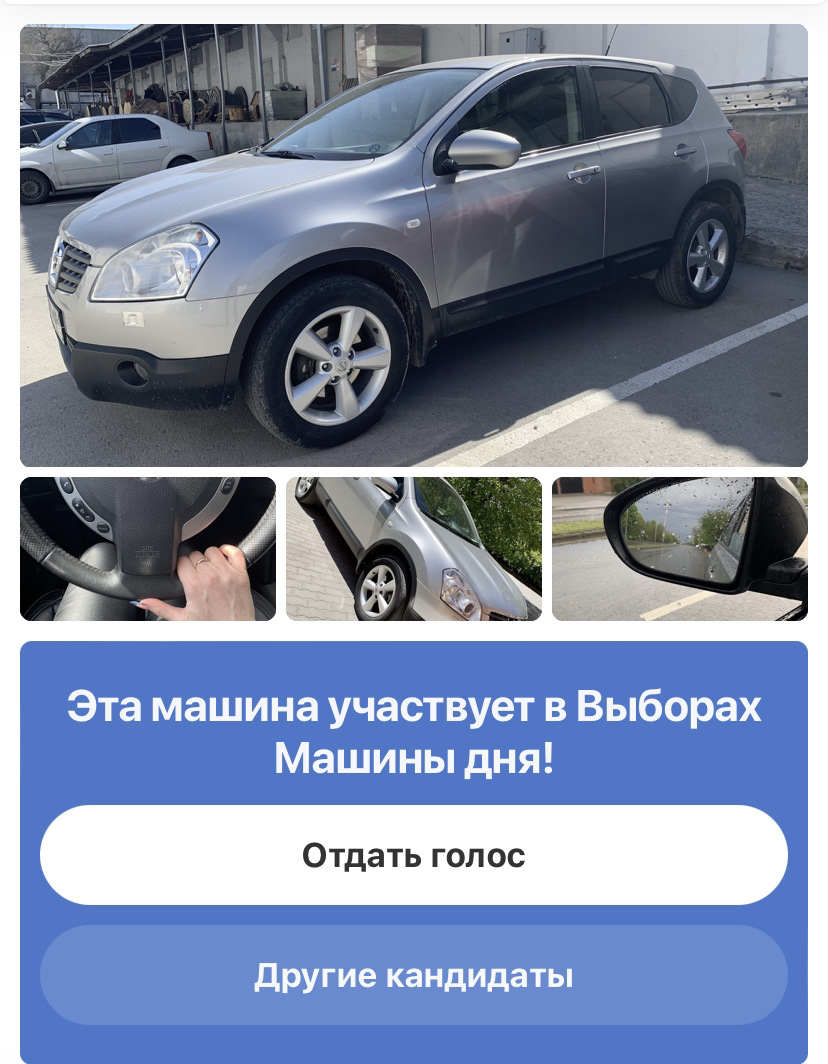 18. Кот на Выборах! — Nissan Qashqai (1G), 2 л, 2008 года | соревнования |  DRIVE2