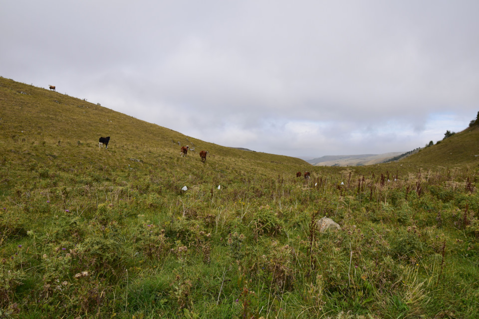 Фото в бортжурнале Renault Duster (1G)