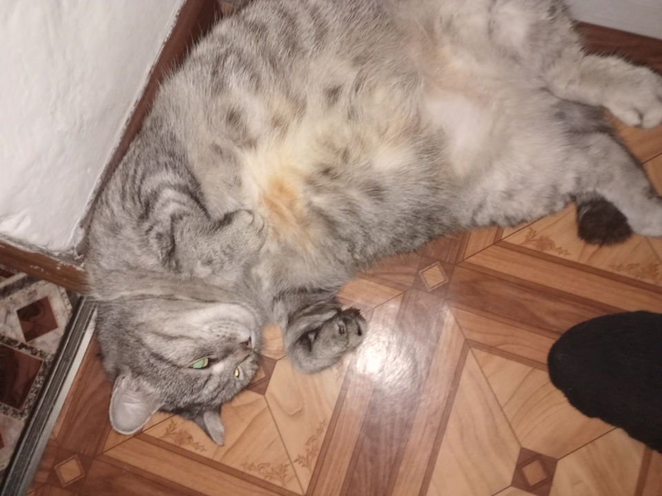 Вопрос по рулевой рейке калина — Lada Калина седан, 1,6 л, 2008 года ...