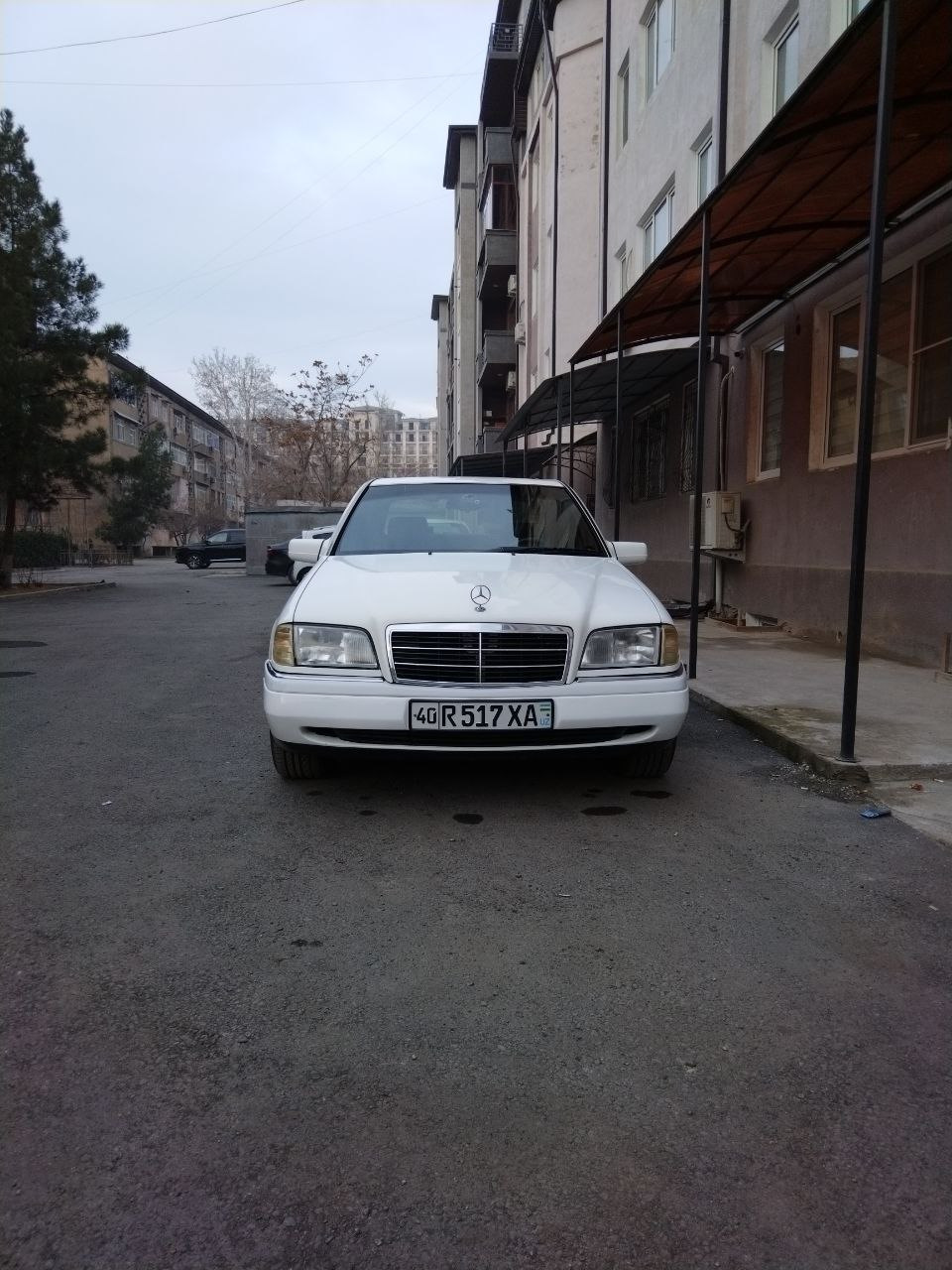 Прощание с мурзиком — Mercedes-Benz C-class (W202), 1,8 л, 1995 года |  продажа машины | DRIVE2