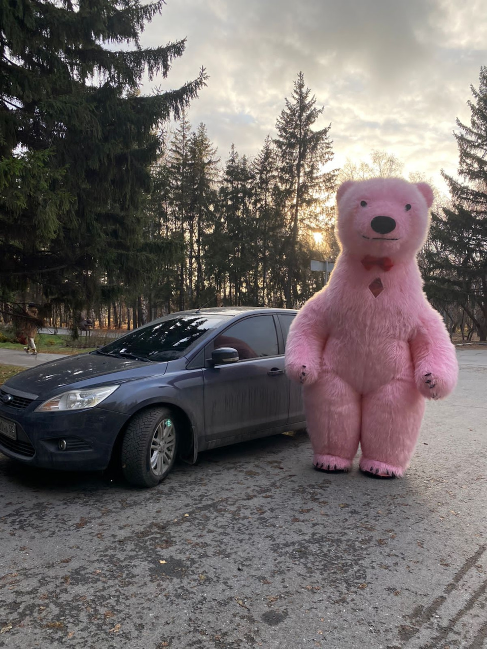 ножки и попки