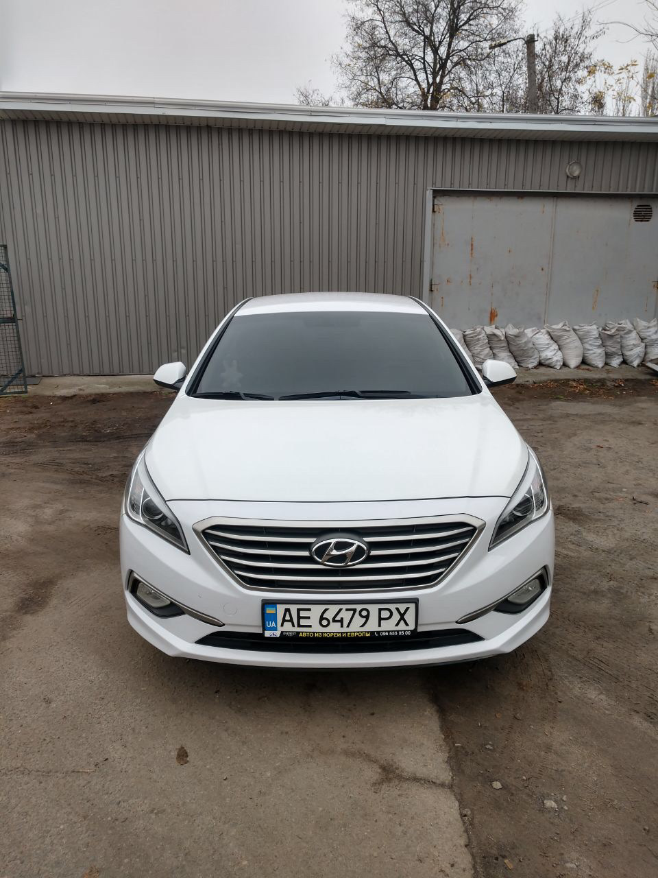 Просто люблю ее — Hyundai Sonata VII (LF), 2 л, 2016 года | просто так |  DRIVE2