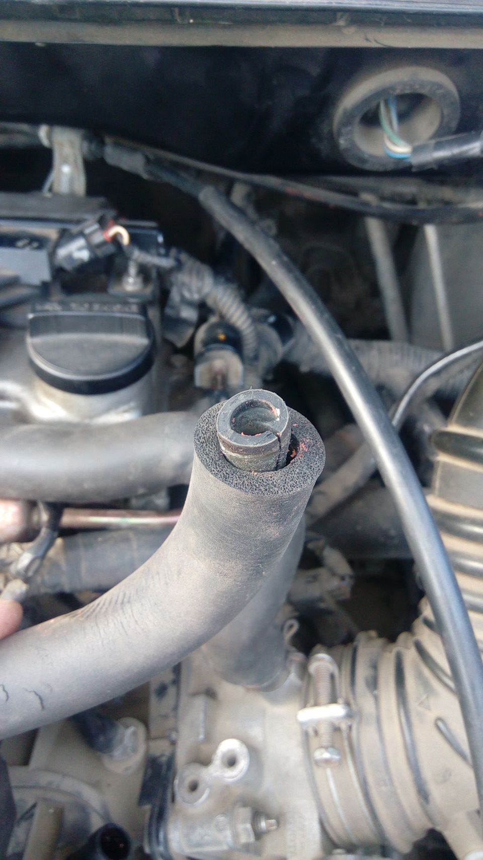 Фото в бортжурнале Toyota Opa