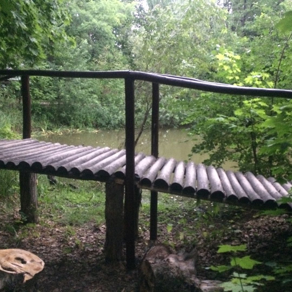 Мост у озера — Honda Element