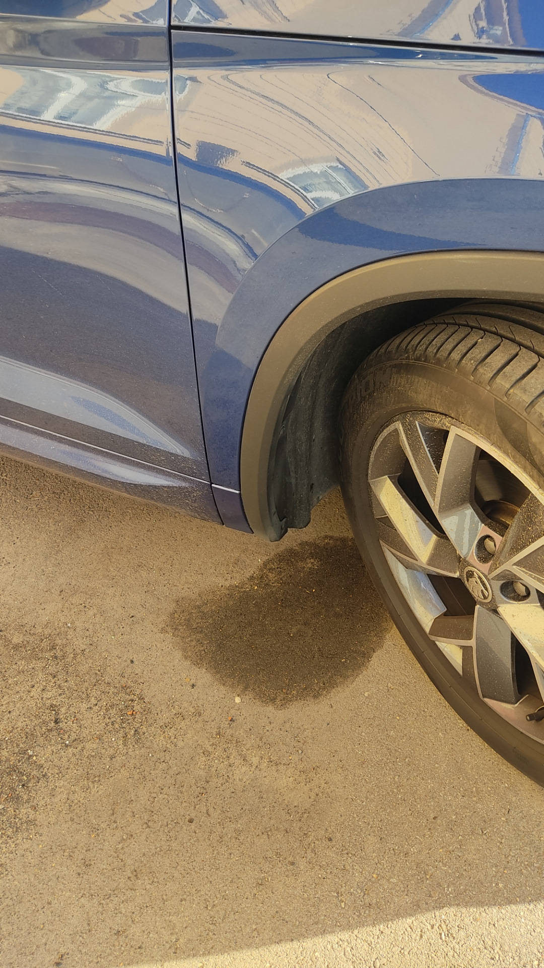 Нестандартные передние брызговики для медведя. — Skoda Kodiaq (1G), 2 л ...