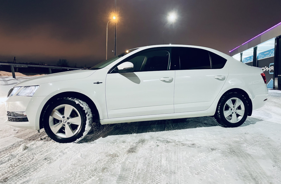 Стучат задние амортизаторы vs Рапид((( — Skoda Octavia A7 Mk3, 1,4 л ...