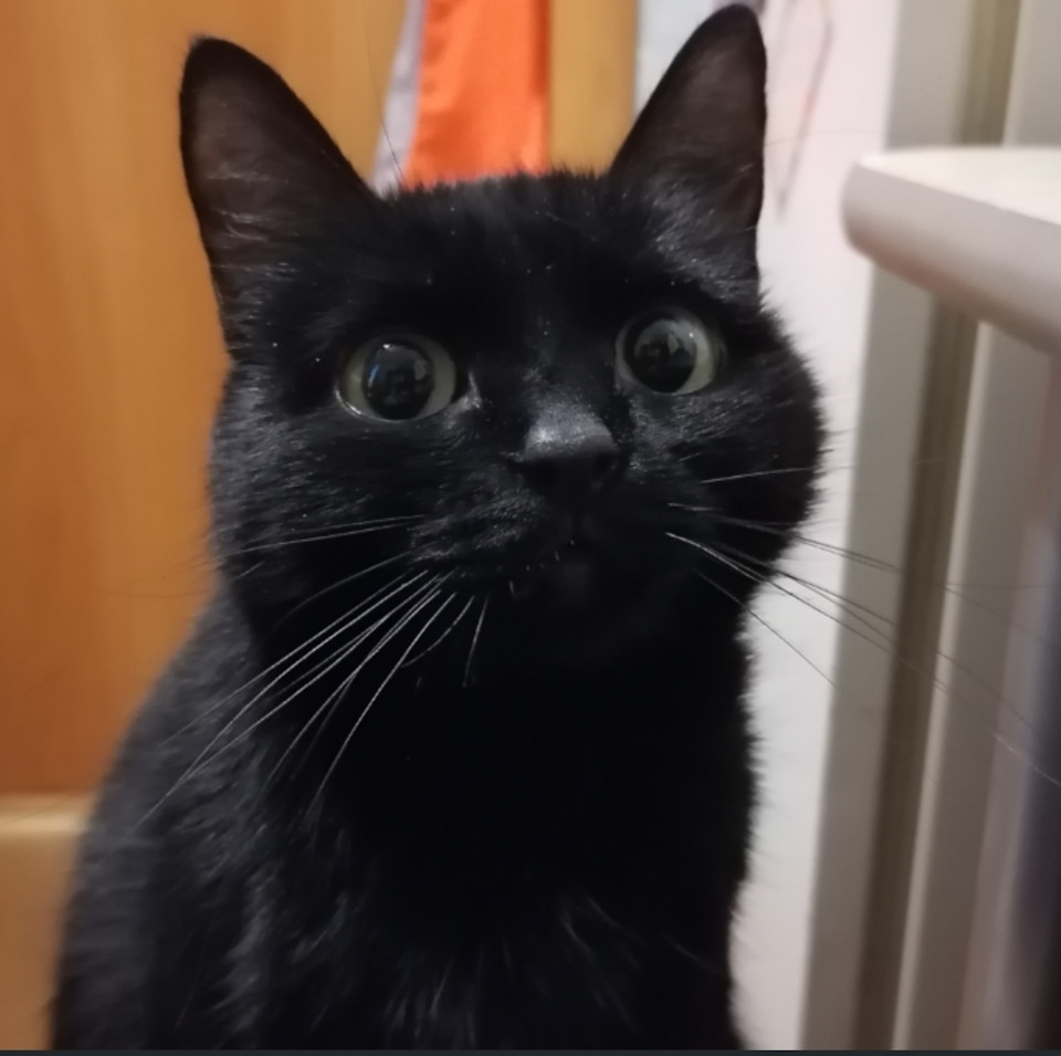 Стук при торможении в заднем левом колесе. — DRIVE2