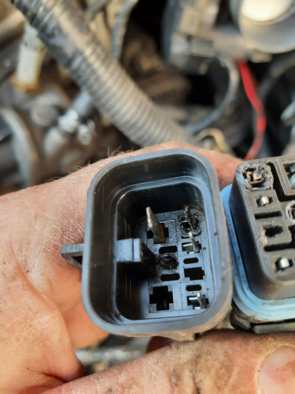 Фото в бортжурнале Alfa Romeo 156