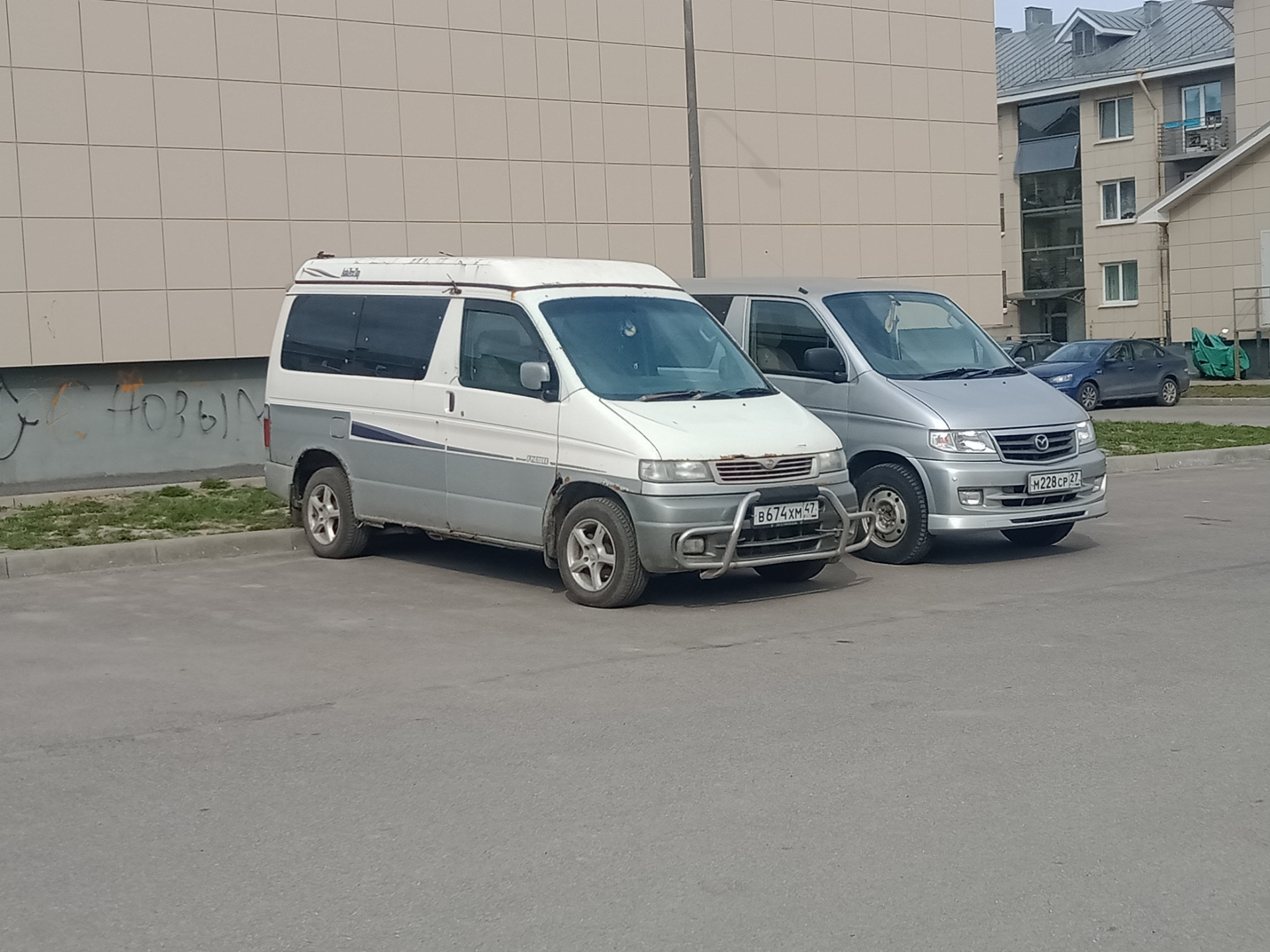 Френди нижний. Под Френди
