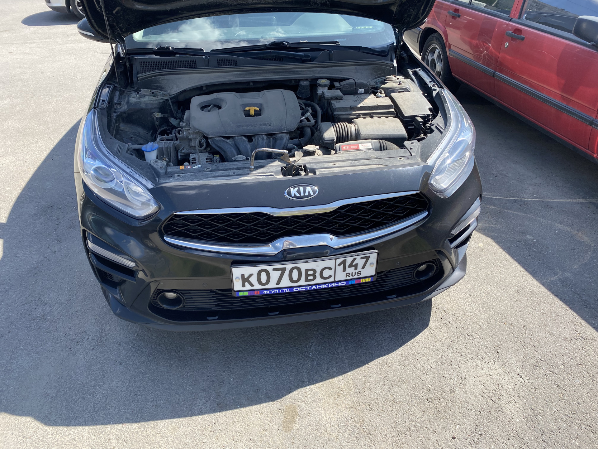 Замена звукового сигнала. — KIA Cerato (4G), 2 л, 2019 года | своими руками  | DRIVE2