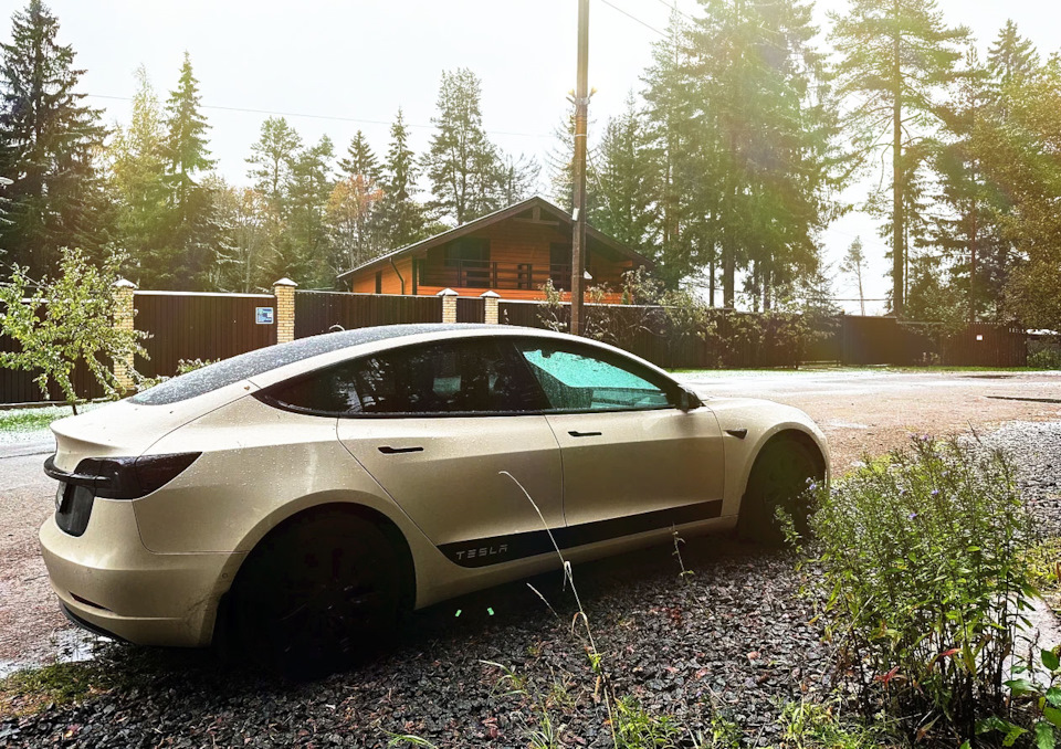 Фото в бортжурнале Tesla Model 3 (1G)