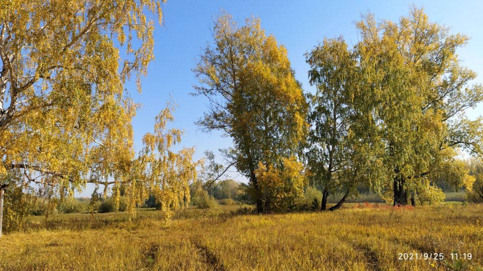 Итоги выходных на Туареге — Volkswagen Touareg (1G), 2,5 л, 2010 года ...