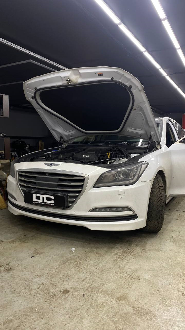 Фото в бортжурнале Hyundai Genesis (2G)