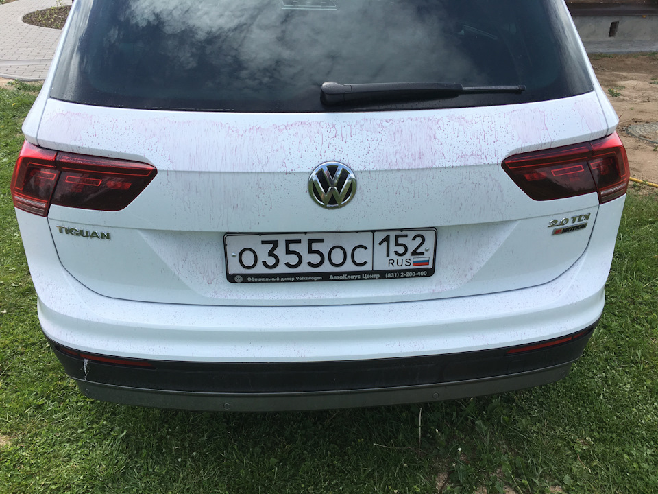 Фото в бортжурнале Volkswagen Tiguan (2G)