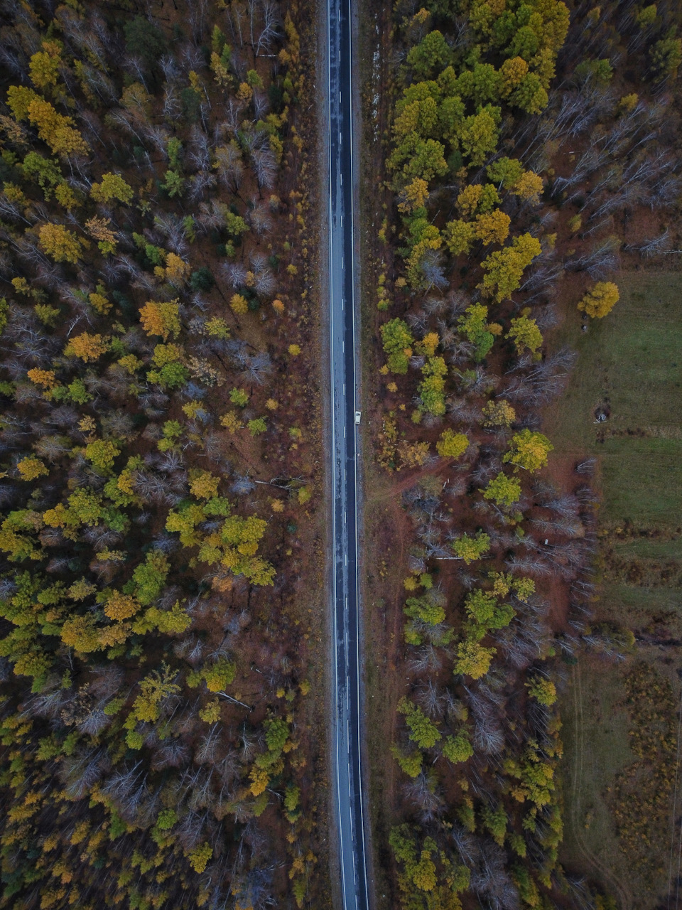 Над лесами Бурятии — Suzuki Alto (8G)