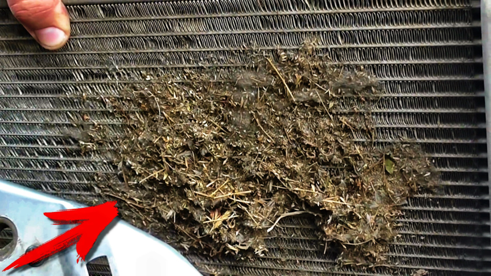 МОЙКА РАДИАТОРОВ БЕЗ СНЯТИЯ С МАШИНЫ — Ford Focus II Hatchback, 1,6 л ...