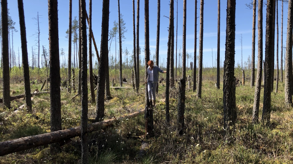 ТАИНСТВЕННОЕ ОЗЕРО СРЕДИ БОЛОТ ?0 Шурфим старинный дом — DRIVE2