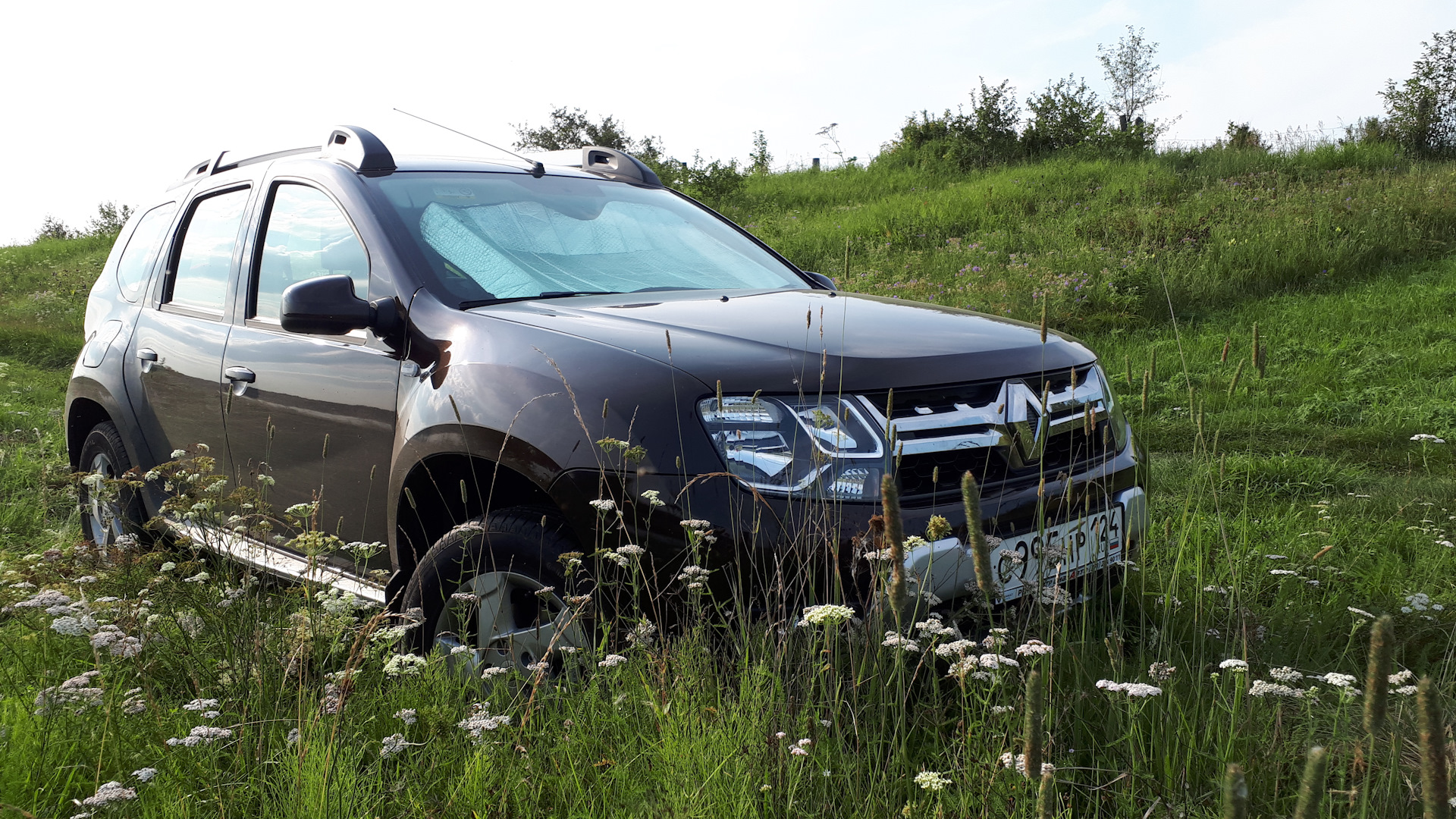 Renault Duster (1G) 2.0 бензиновый 2017 | 2.0 акпп esp шоколад на DRIVE2