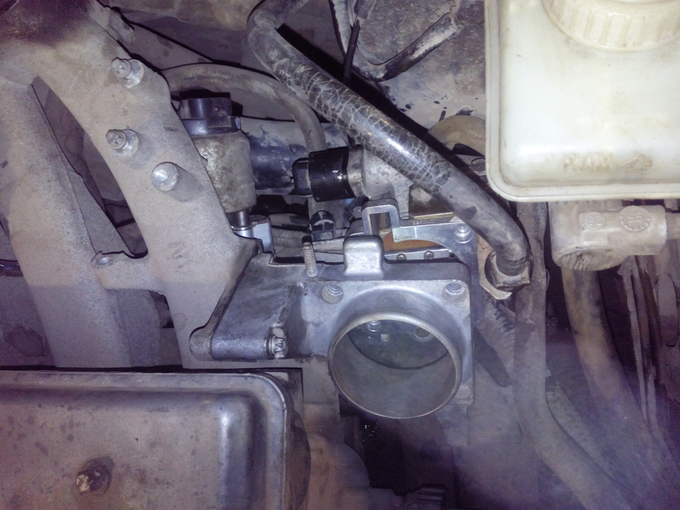 Удаление продувки катализатора, заглушка ЕГР. — Opel Vectra B, 1,6 л ...