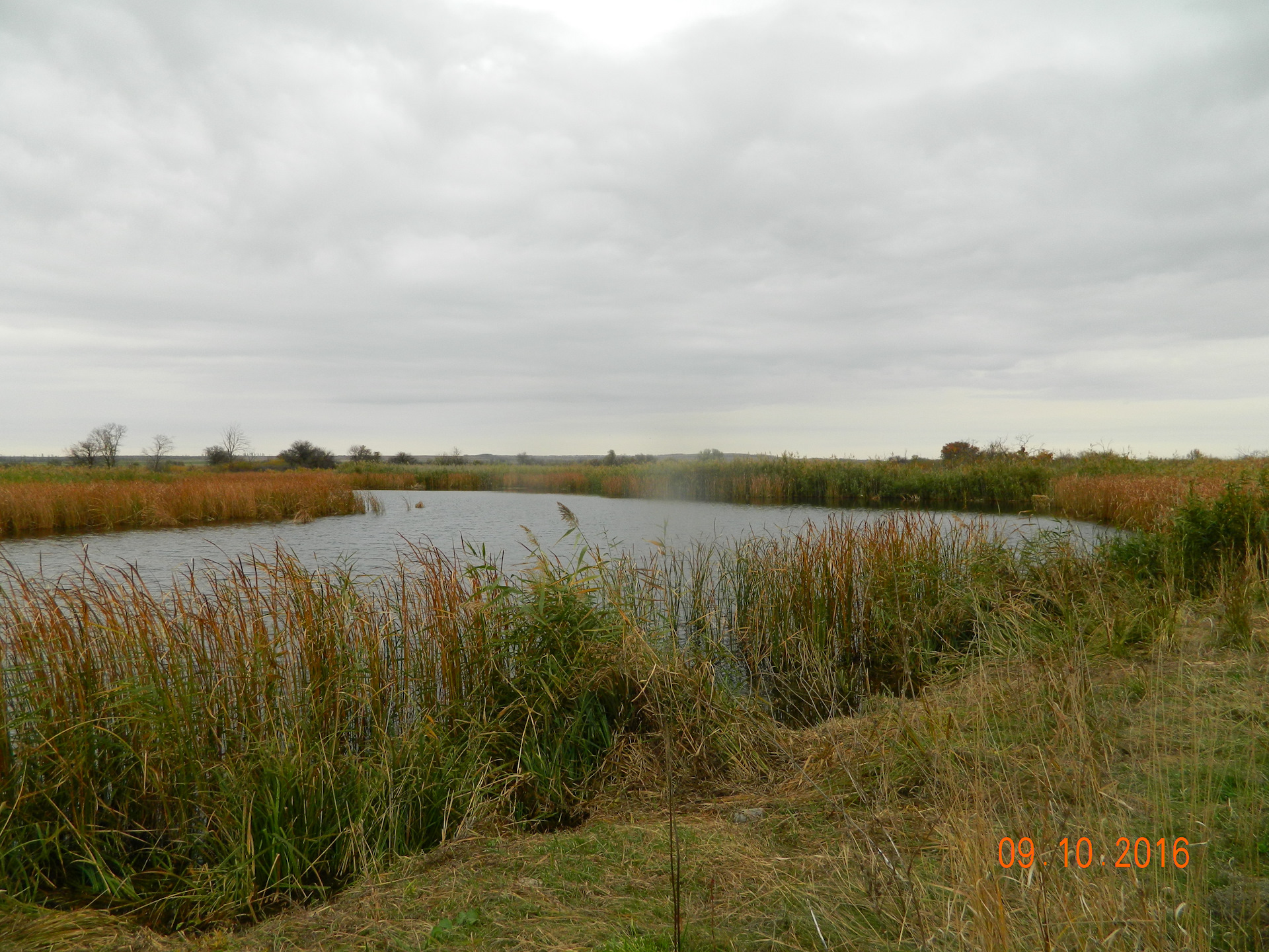 что за рыба на фотографии у меня. рыбалка верхним тагиле зимой. рыбалка в астрахани в дельте. пруд бам белинский. рыбалка в окрестностях нижнего.