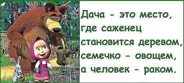 Стань деревом. Дача это место где саженец. Дача это место где саженец становится деревом. Дача - это место, где. Дача это место где саженец становится деревом картинки.