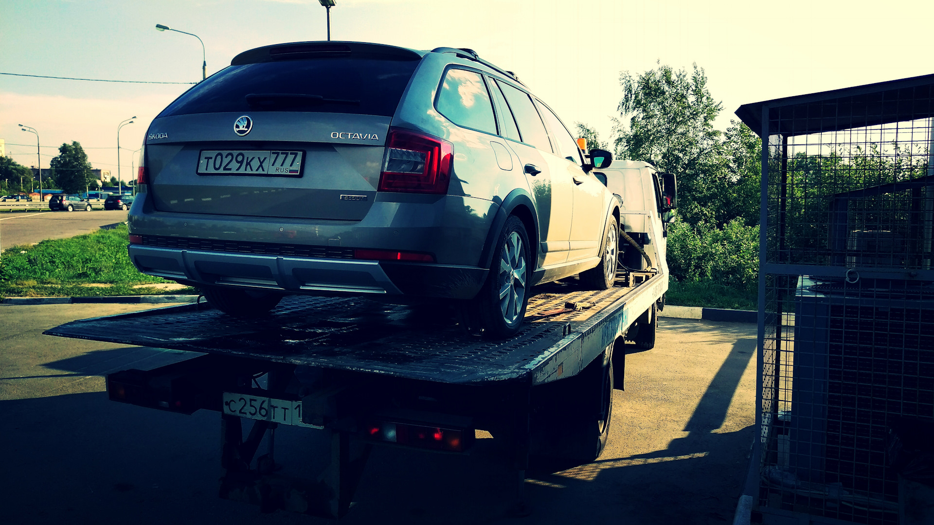 ������� ���� ���