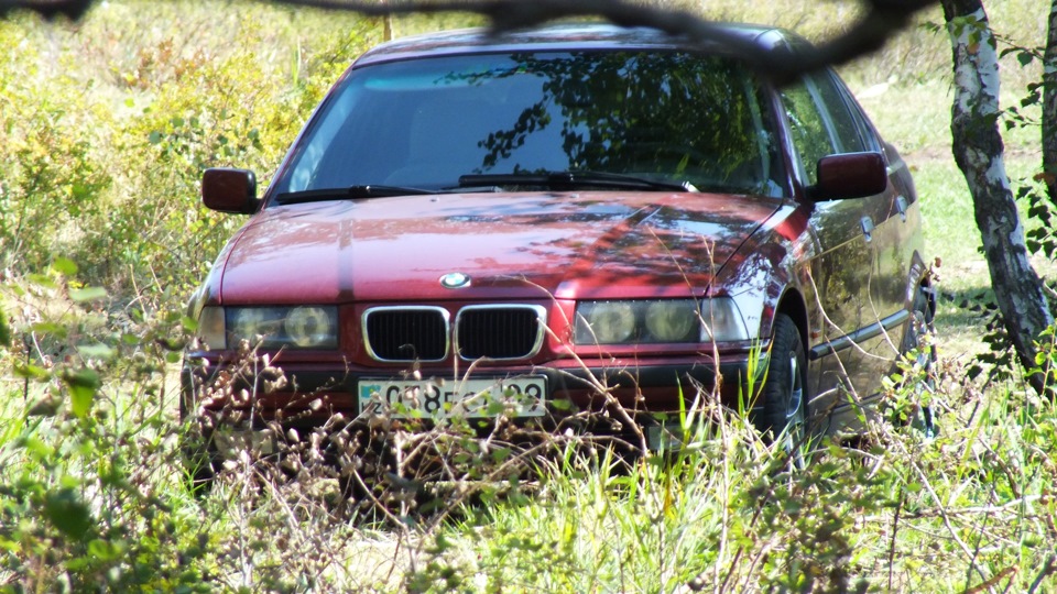 BMW 3 series Cherrys