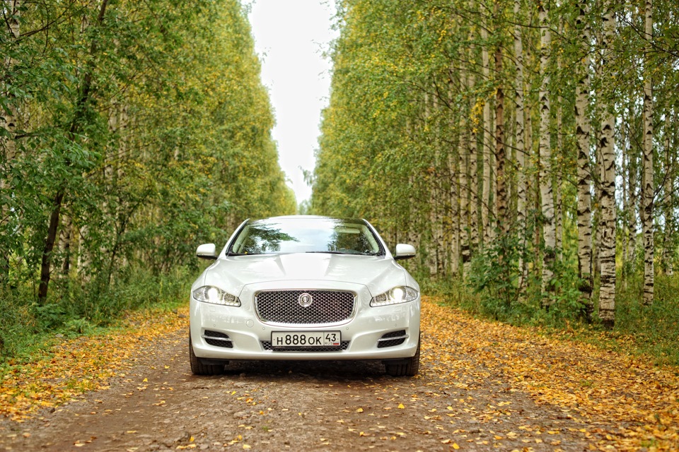 Машина года. Jaguar XJ белый 2016 на природе.