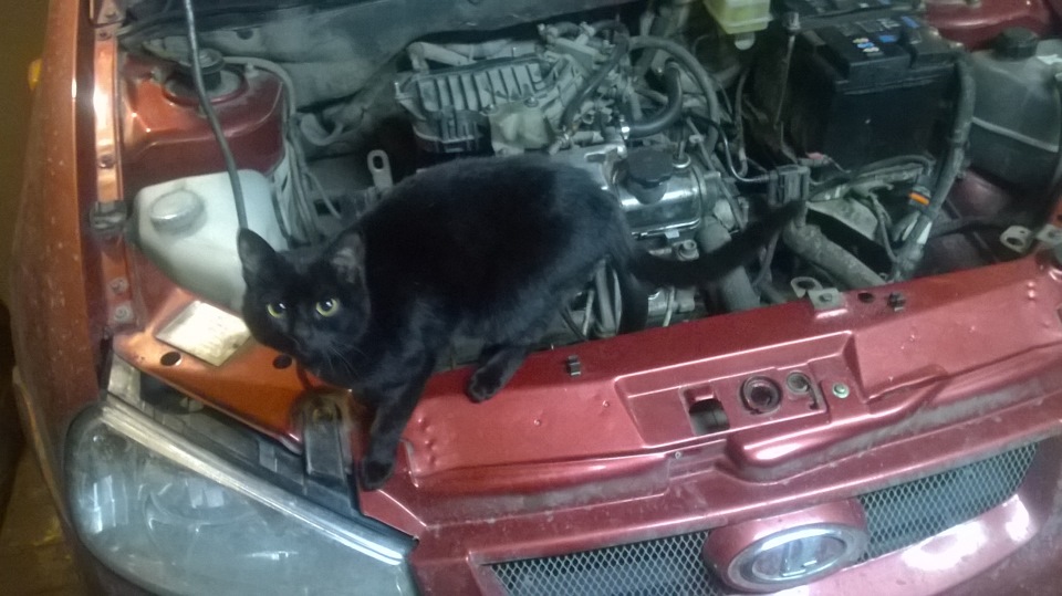 Ремонт системы подачи воздуха! — Lada Калина хэтчбек, 1,6 л, 2007 года ...