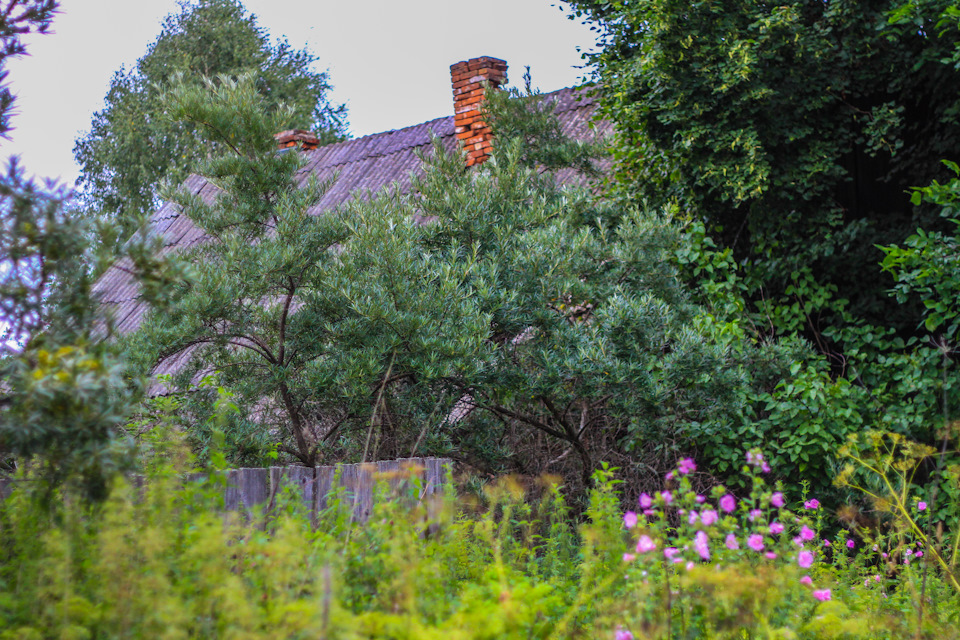 Фото в бортжурнале Jeep Cherokee (XJ)