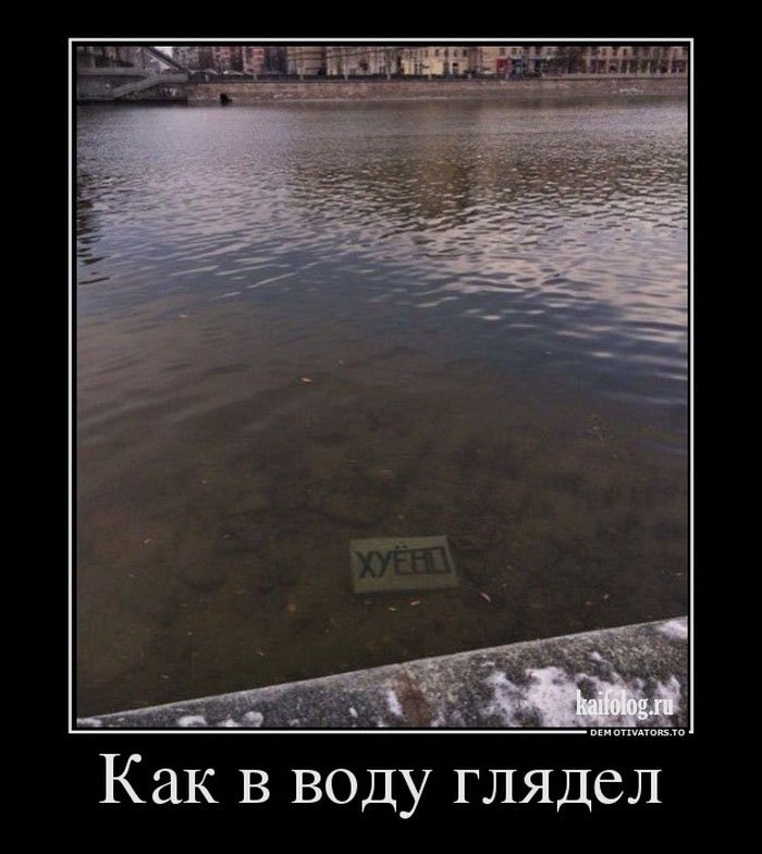 Как в воду глядел это. Как в воду глядел. Глядеть в воду. Как в воду глядел картинки. Как в воду глядел прикол.