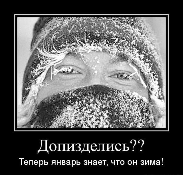 Прикольные картинке про мороз