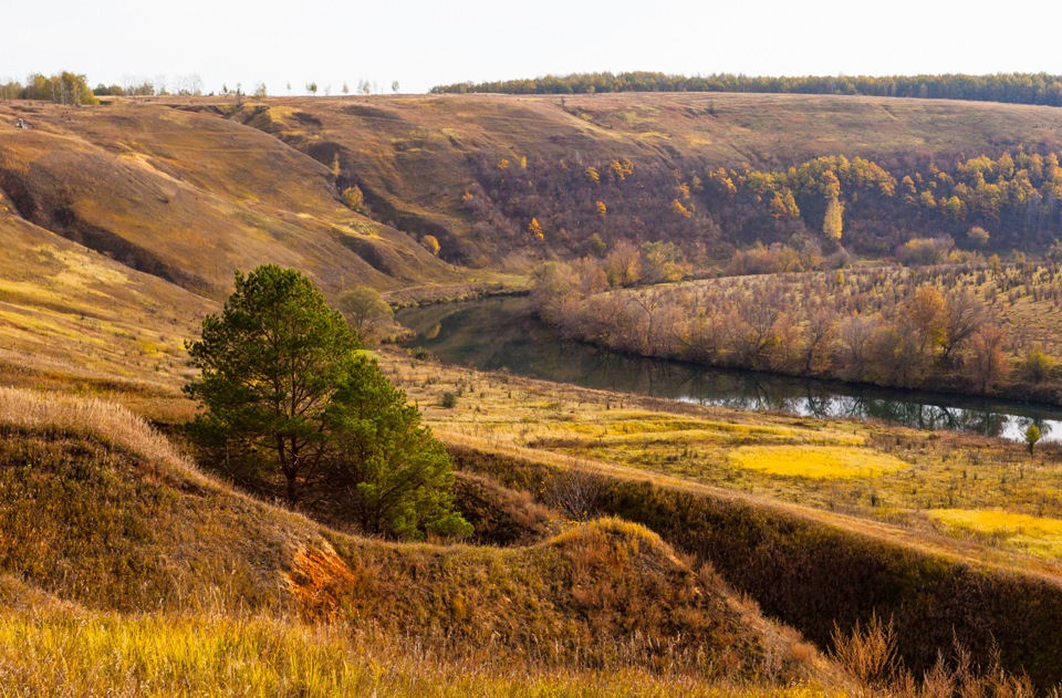 Село тормасово ефремовский район фото