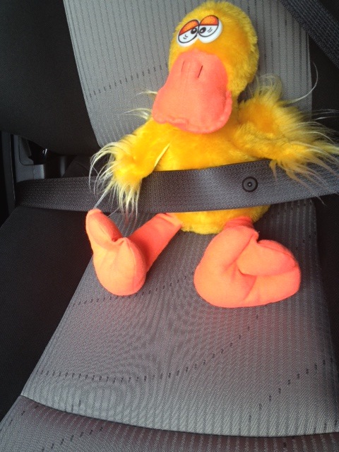 Мой пассажир :) — DRIVE2