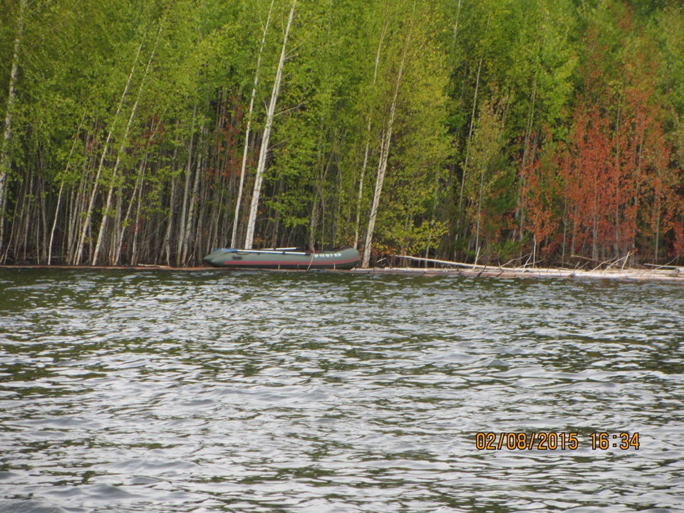 Богучанское море фото