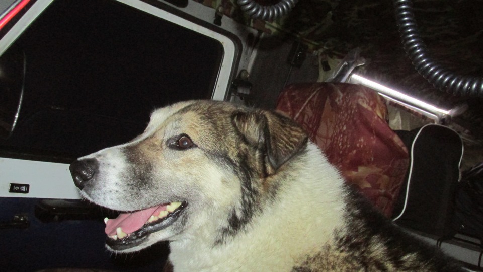 Фото в бортжурнале УАЗ 39095