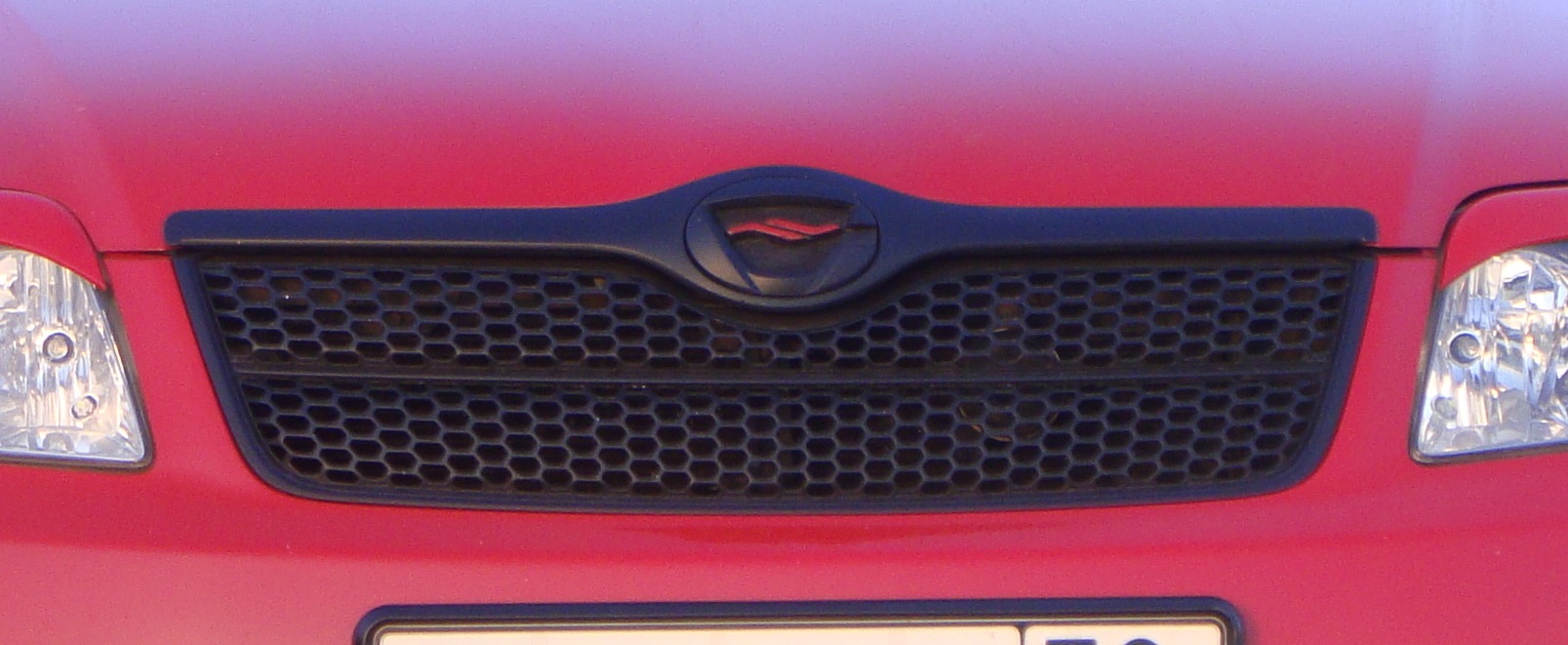 Brushed Grille - Toyota Corolla Fielder 2005