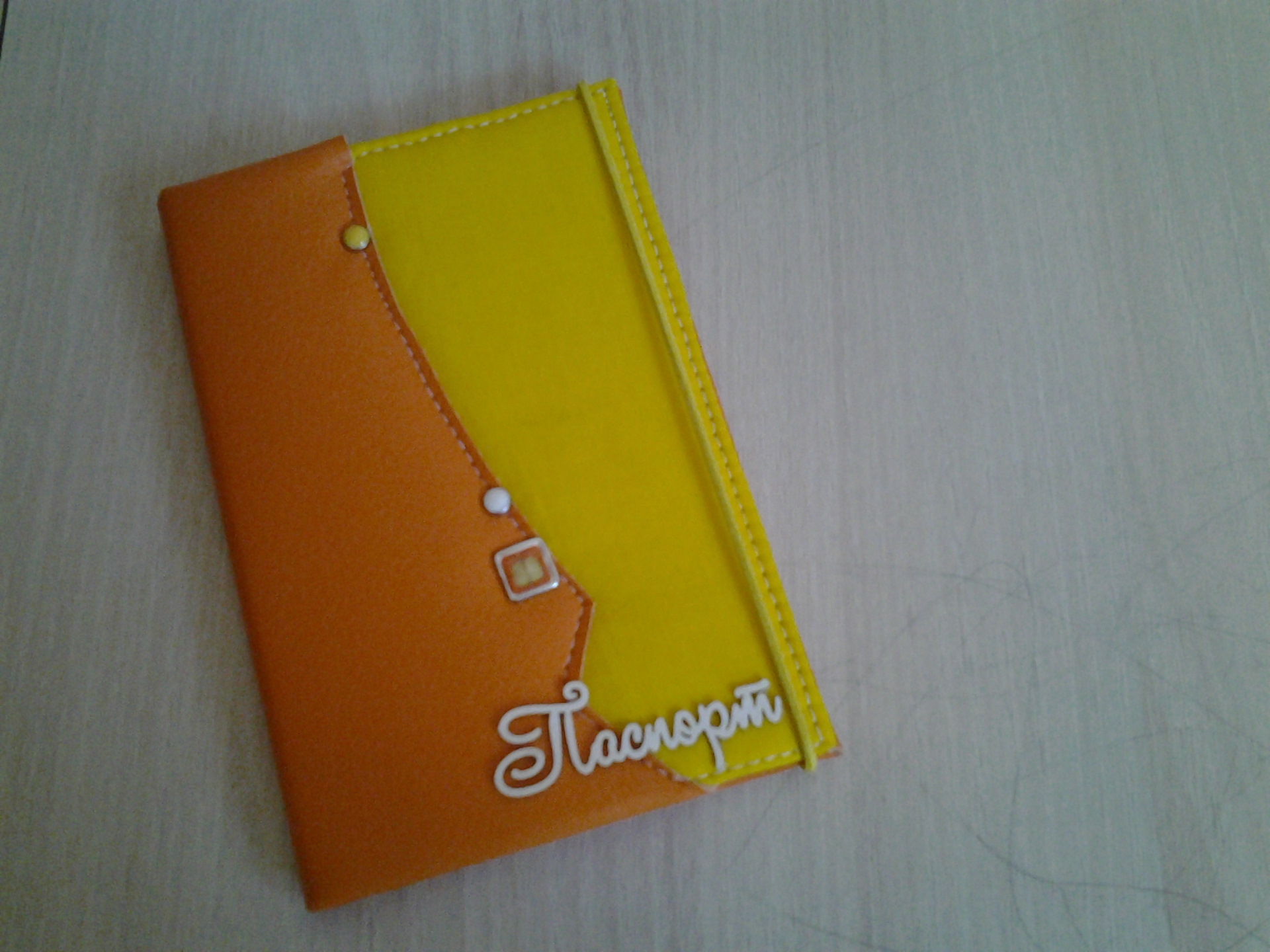 Passport drive. Обложка для паспорта Drive.