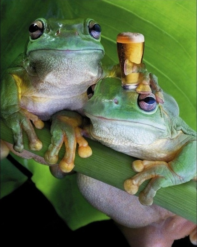 Носков, паранойя, асфиксия*) — DRIVE2