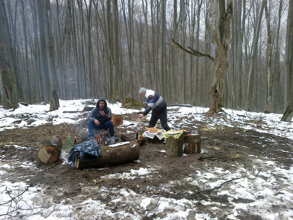 лесные дела — Lada 4x4 3D, 1,7 л, 1987 года | путешествие | DRIVE2