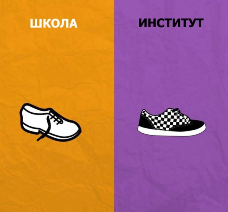 Отличие школы от колледжа. Отличие школы от колледжа. Школа и вуз отличия. Отличие школы от колледжа. Отличие школы от колледжа.