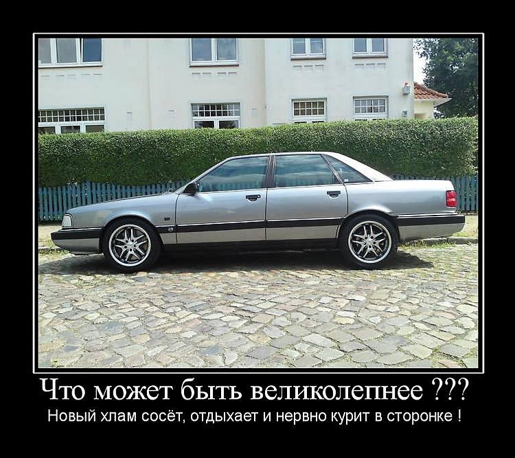 Смешные картинки про ауди, днем