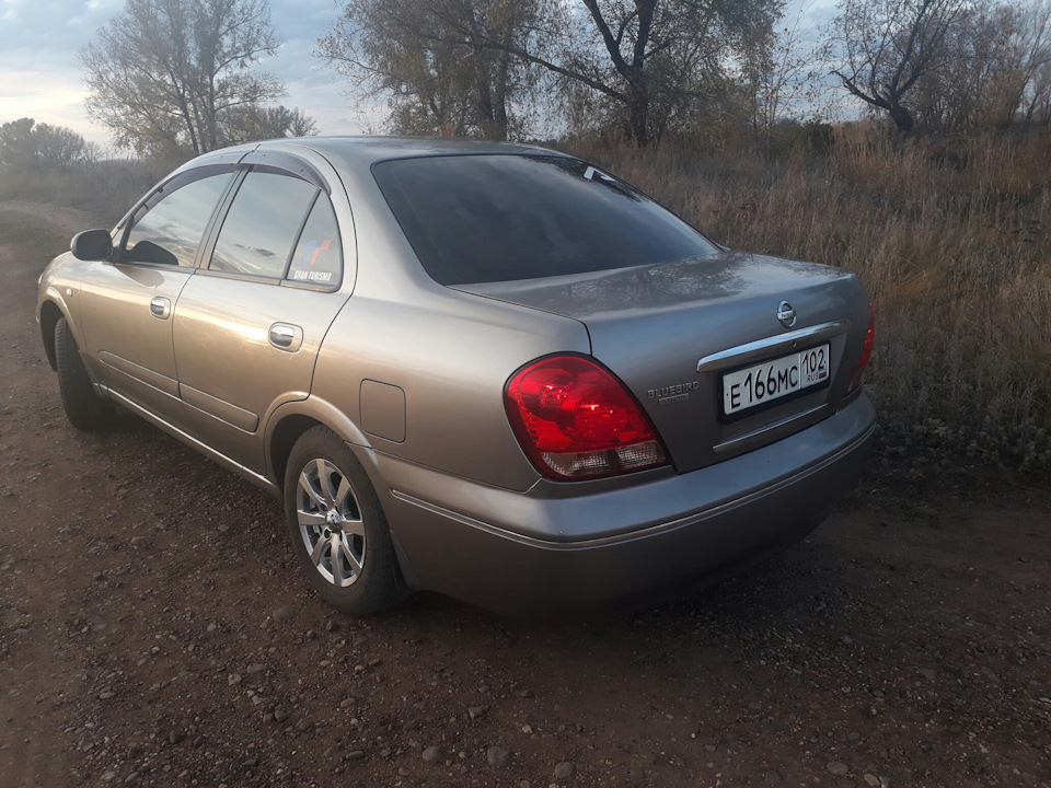 Ниссан блюберд силфи g10. Nissan Bluebird Sylphy g10. Ниссан Блюберд Силфи 2005. Nissan Bluebird Sylphy g11. Блюберд Силфи 4 ВД.