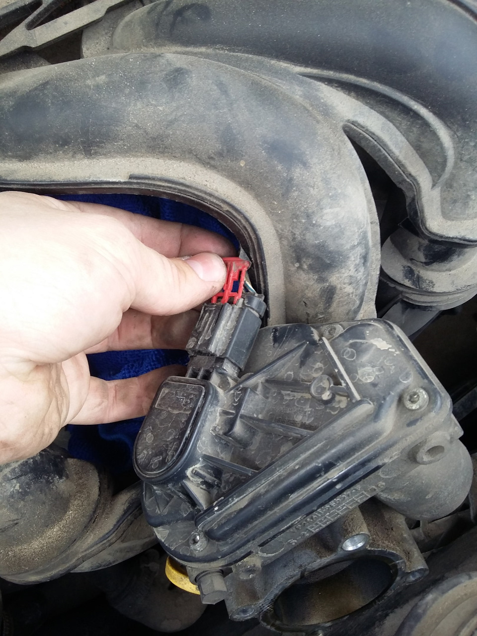 Фото в бортжурнале Ford Focus Sedan II