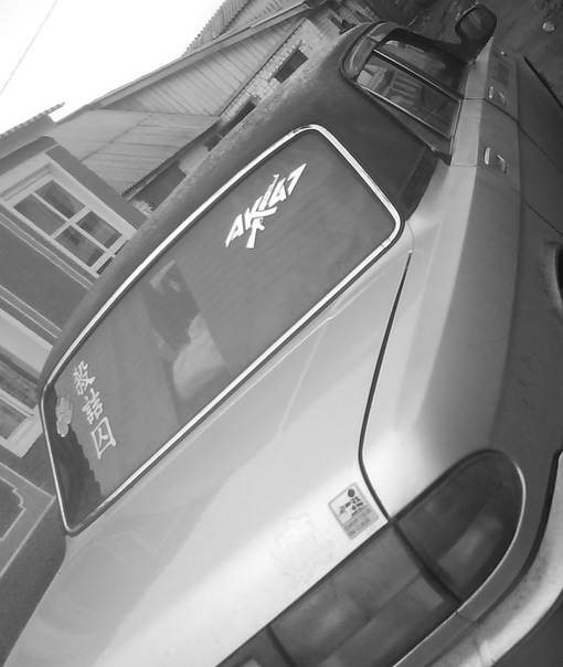 в черно белом)) — ГАЗ 31105, 2,3 л, 2004 года | наблюдение | DRIVE2